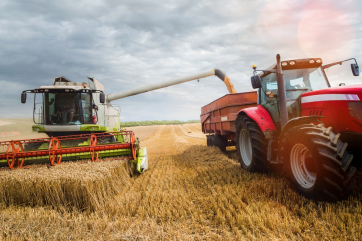 Урожай пшеницы во Франции оказался на 26,4 процента меньше прошлого